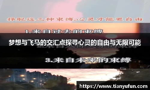 梦想与飞马的交汇点探寻心灵的自由与无限可能